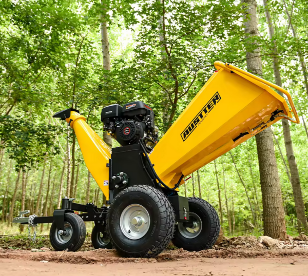 Austter P4206