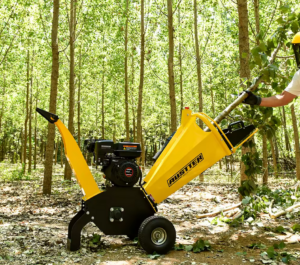 Austter GS650