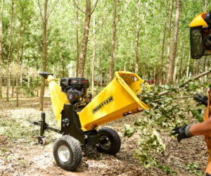 Austter P4206