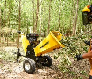 Austter P4206