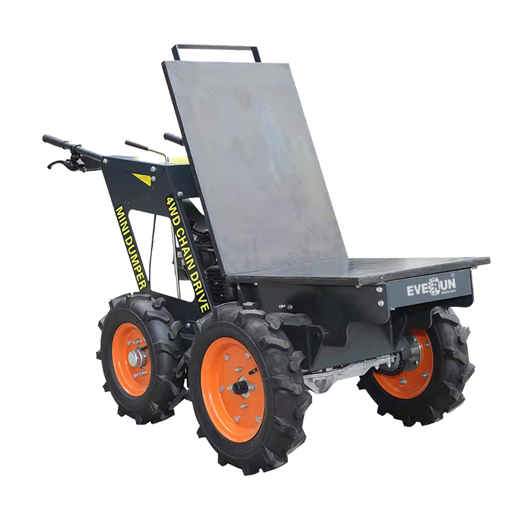 Everun ERMD250C